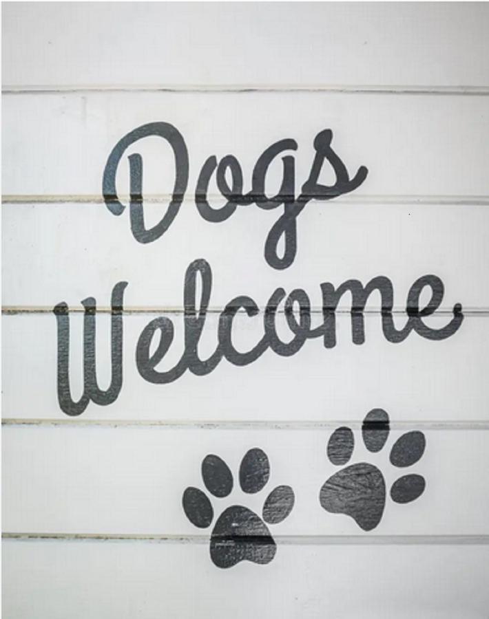 Jasmine'S Retreat - Pet Friendly, Ingoldmells Appartement Buitenkant foto